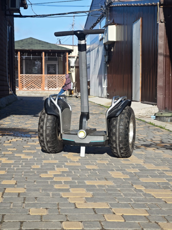 Гироскутер внедорожный Segway EcoDrift SX2 Black